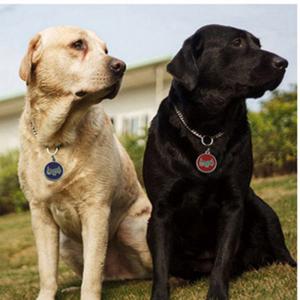 2018 Hot Sale Dog hoặc Cat ID Khóa Khắc hoặc QR Code Pet Tag