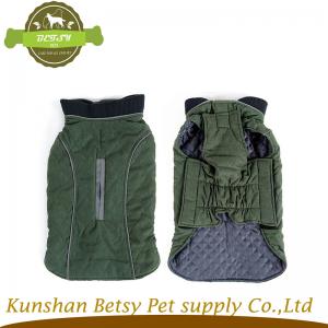 Chó nuôi. Bộ trang phục màu vàng.