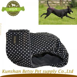 Chất lượng cao nữ chó mùa quần