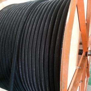 Tính dẻo dẫn điện polymer anode