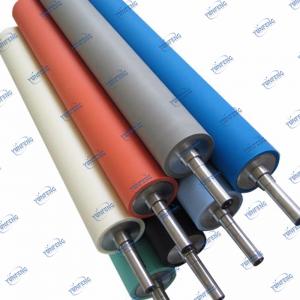 Con lăn Sponge thấm hút