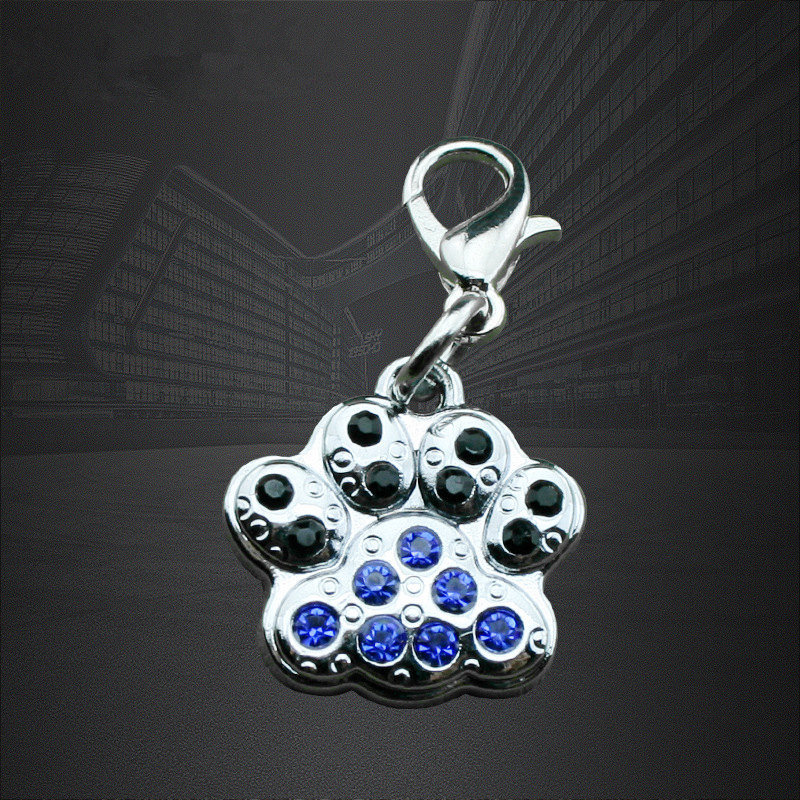 Thẻ bảo vệ mèo được gắn với thẻ bảo vệ và thẻ tên thú cưng.