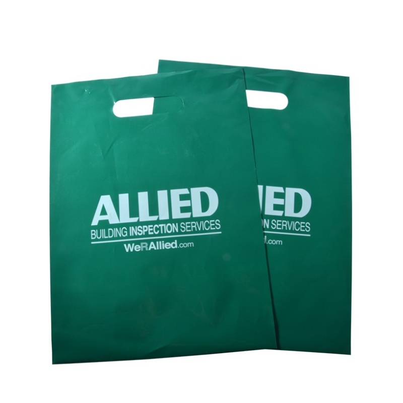 PE LDPE In túi nhựa mua sắm tùy chỉnh với logo riêng