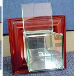 Hộp trưng bày bóng chày treo tường