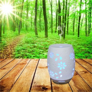 Nhiều câu hỏi phổ biến độc đáo gốm thơm khuếch tán dầu khuếch tán