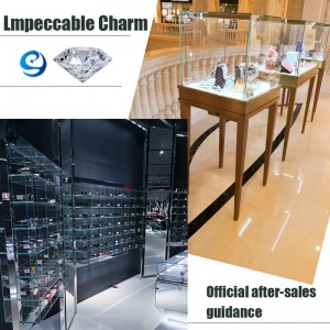 Tùy chỉnh bộ trang sức trưng bày tủ trưng bày sang trọng và trưng bày cho cửa hàng trang sức