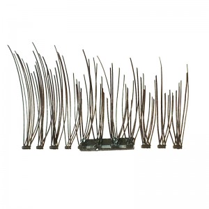 Nam châm lông mi giả