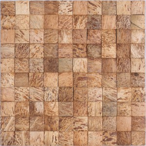 Thiết kế sáng tạo vỏ dừa tự nhiên khảm tường trang trí