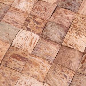 Thiết kế sáng tạo vỏ dừa tự nhiên khảm tường trang trí