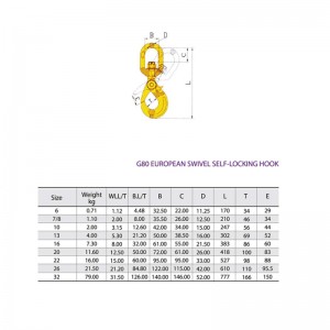 Móc khóa an toàn xoay G80 được sơn