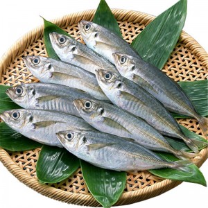 Cá thu đông lạnh