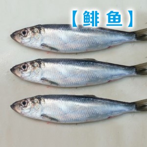 Cá trích đông lạnh