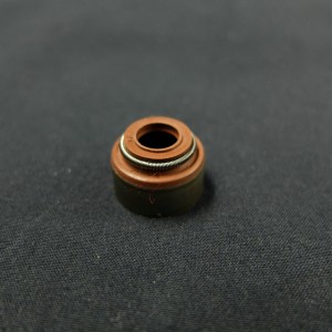 Nhà máy Trung Quốc Viton Cao su Van con dấu cao su niêm phong cho Cherokee