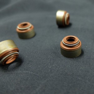 Nhà máy Trung Quốc Viton Cao su Van con dấu cao su niêm phong cho Cherokee