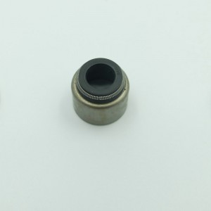 Phụ tùng ô tô Con dấu cao su van Viton cho động cơ