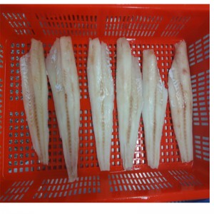 Phi lê Alaska Pollock đông lạnh