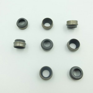 Phụ tùng cao su tự động Van dầu con dấu cho sau khi thay thế thị trường