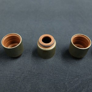 Nhà cung cấp Trung Quốc Van con dấu dầu gốc cho xe ô tô Renault