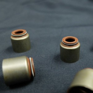 Nhà cung cấp Trung Quốc Van con dấu dầu gốc cho xe ô tô Renault