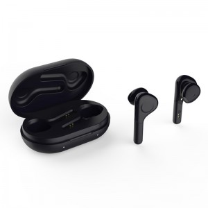 WS-33-48 Ngôn ngữ dịch Tai nghe Bluetooth 5.0 TWS