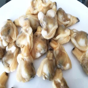THỊT CLAM FROZEN