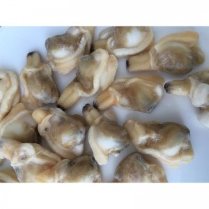 THỊT CLAM FROZEN