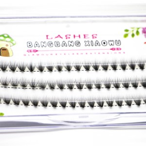 Mở rộng cụm lông mi 2D đến 20 D Volume