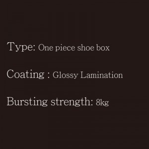 Hộp đựng giày OP Type1