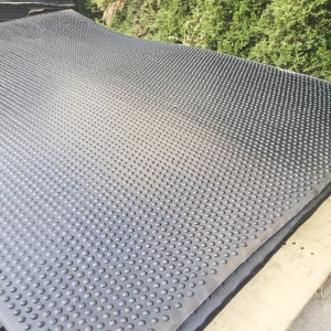 Dấu phồng không dày đặc