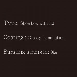 Hộp giày cónắp loại2