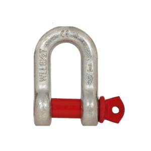 Nhà sản xuất tốt Neo D Shackle