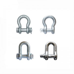 Bolt loại hợp kim cung còng / G80Bow Shackle