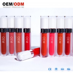 OEM bán buôn tốt nhất lipgloss mờ, lâu dài nhãn riêng không thấm nước son bóng