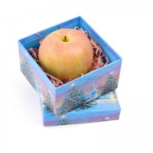 Làm bằng tay tùy chỉnh bán chạy nhất Hộp quà tặng Giáng sinh tốt nhất cho trẻ em