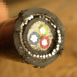 Dây dẫn nhôm 2/3 lõi cáp điện Dây thép bọc thép Swa Power