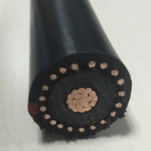 Cáp điện cách điện 22PE Xlpe Al / Cu Core XLPE với dây dẫn đồng tâm