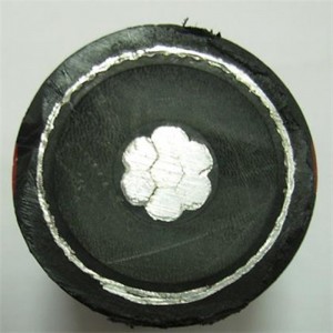 Al Băng kinh độ kim loại màn hình MV Power cáp Water Proof