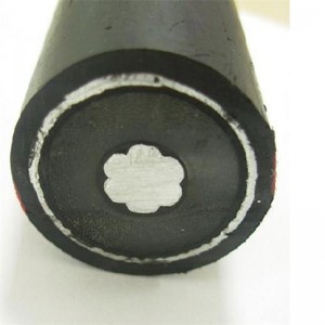 Al Băng kinh độ kim loại màn hình MV Power cáp Water Proof