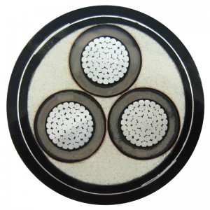 Cáp điện trung thế được bảo vệ và đồng tâm Cáp trung tâm Nước và đáy biển CSA C68.5