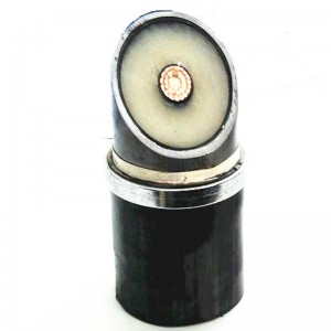 Dây điện 110kv Xlpe HV Dây dẫn phân đoạn nhỏ gọn 1000mm2