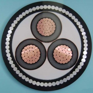 Cáp bọc thép 1-30KV 6 mm 3 lõi Swa IEC60502, Sans 1339, BS 6622, AS / NZS1429.1, NFC 33226, CSA C 68.5