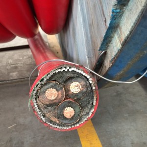 Cáp bọc thép đa lõi trung áp với STA / SWA bọc thép