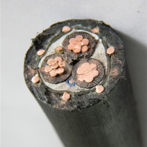 Dịch vụ hàng không Tách cáp đồng tâm XLPE cách điện 3x10mm2 Tiêu chuẩn ASTM IEC BS