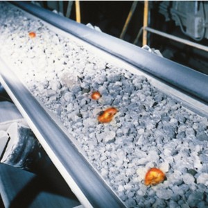 Băng tải chịu nhiệt