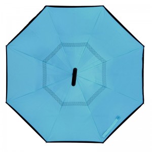 Tùy chỉnh in hai lớp C Xử lý lộn ngược mưa mưa