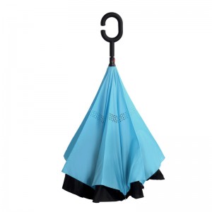 Tùy chỉnh in hai lớp C Xử lý lộn ngược mưa mưa