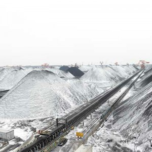 Băng tải chống lạnh