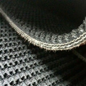 Băng tải hàng đầu thô