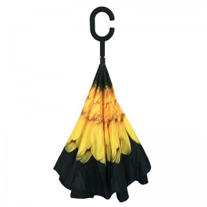 Số lượng nhỏ Dịch vụ đặt hàng OEM lộn ngược ô ngược