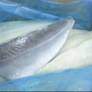 Đông lạnh philê Atlantic Saithe